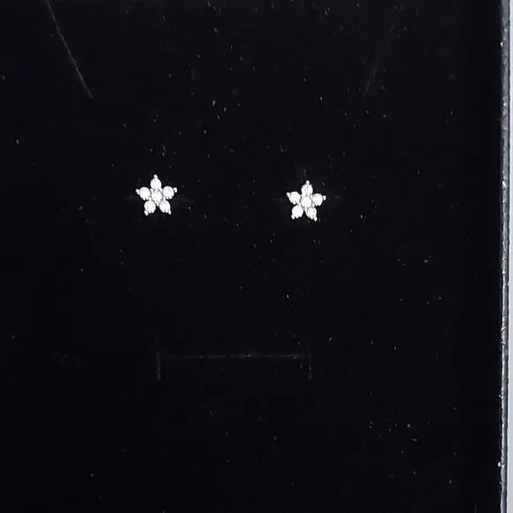 14K White Gold Plated Flower Earrings - Picture 10 of 12